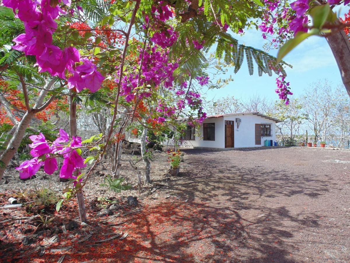 Casa Verde Vacation Garden Home San Cristóbal エクステリア 写真