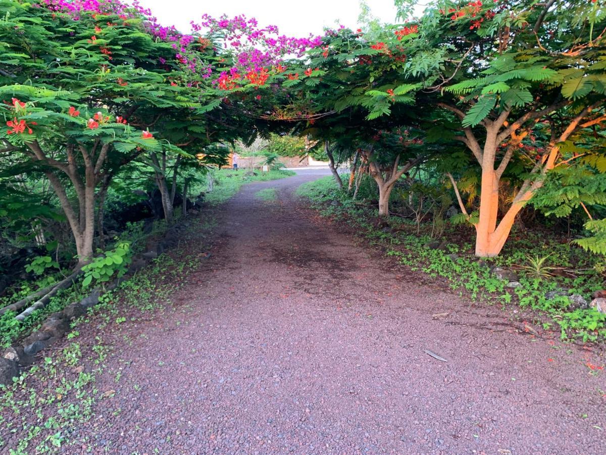 Casa Verde Vacation Garden Home San Cristóbal エクステリア 写真